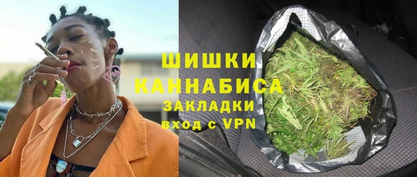 PSILOCYBIN Балабаново